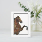 Carte Postale Baie Harnais Pony 3 (Debout devant)