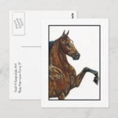 Carte Postale Baie Harnais Pony 3 (Devant / Derrière)