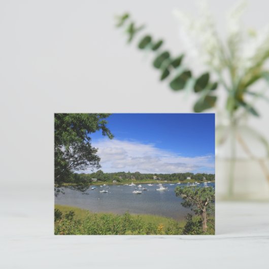 Carte Postale Baie Pleasant Orleans Cape Cod (Debout devant)
