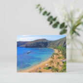 Carte Postale Baie profonde de Hanauma, Honolulu, Oahu (Debout devant)