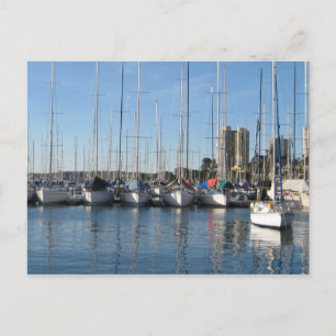 Carte Postale Baie Rushcutters