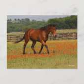 Carte Postale Baie Thoroughbred Horse Walking Flowers (Devant)