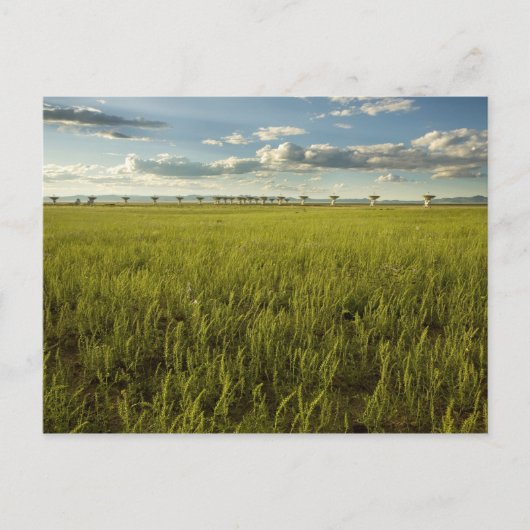 Carte Postale Baie très grande (Devant)