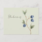 Carte Postale Baies Bleues Vertes Fruit (Devant)