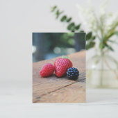 Carte Postale Baies douces (Debout devant)