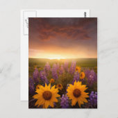 Carte Postale Baies du coucher du soleil (Devant / Derrière)