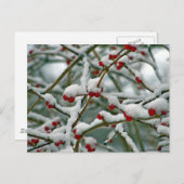 Carte Postale Baies rouges dans la neige d'hiver (Devant / Derrière)