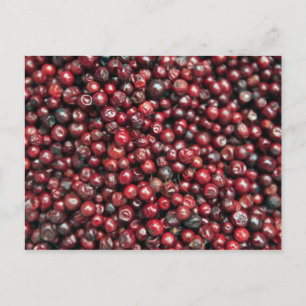 Carte Postale Baies rouges de l'Himalaya