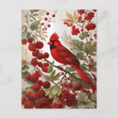 Carte Postale Baies rouges d'oiseaux du Cardinal Nord (Devant)