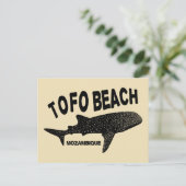 Carte Postale Baignade avec requins de baleine - Tofo Beach Moza (Debout devant)