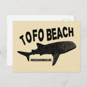 Carte Postale Baignade avec requins de baleine - Tofo Beach Moza (Devant / Derrière)