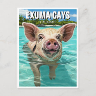 Carte Postale Baignade Cochon Exuma Cays Bahamas Voyage