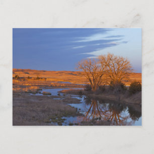 Carte Postale Baigné dans la lumière du coucher de soleil, la ri