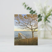 Carte Postale Baigné de lumière dorée (Debout devant)