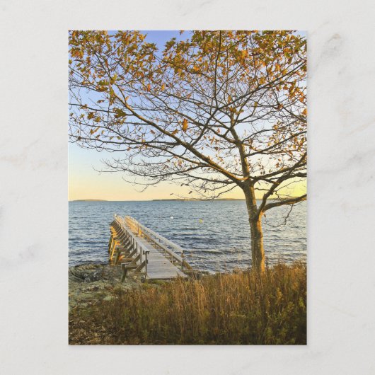 Carte Postale Baigné de lumière dorée (Devant)