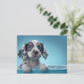 Carte Postale Baignoire à bulles Pup (Debout devant)