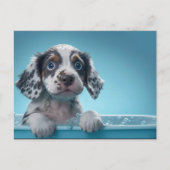 Carte Postale Baignoire à bulles Pup (Devant)