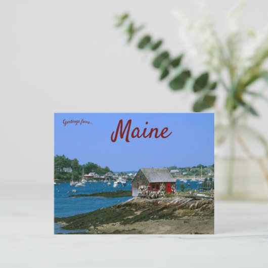 Carte Postale Bailey's Island Maine (Debout devant)
