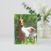 Carte Postale Bain de peinture (Debout devant)