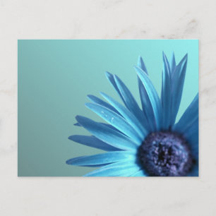 Carte Postale Baise peinte