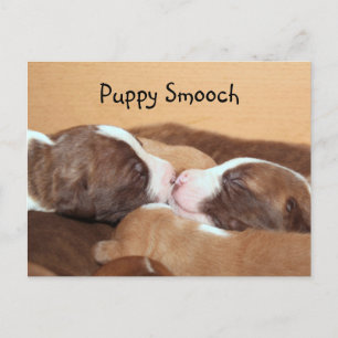 Carte Postale Baiser de chiot