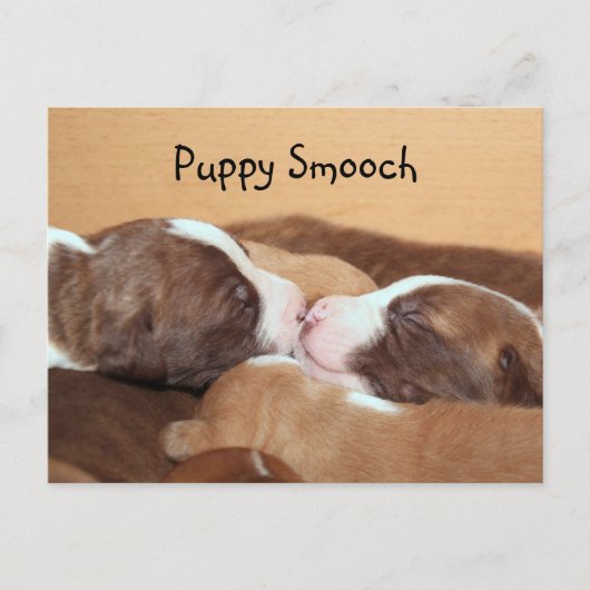 Carte Postale Baiser de chiot (Devant)