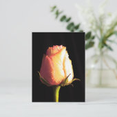 Carte Postale Baiser de pluie (Debout devant)