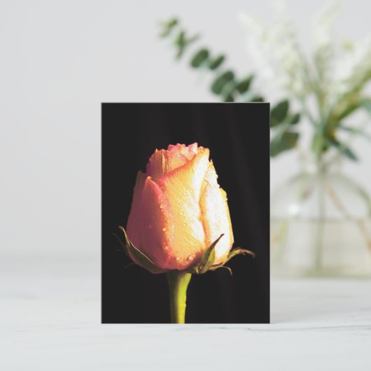 Carte Postale Baiser de pluie (Debout devant)