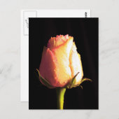 Carte Postale Baiser de pluie (Devant / Derrière)