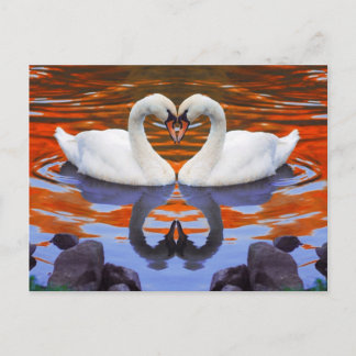 Carte Postale Baiser les cygnes dans l'amour, la forme du coeur