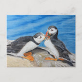 Carte Postale Baiser les macareux (Devant)