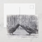 Carte Postale Baiser les oiseaux (Devant / Derrière)