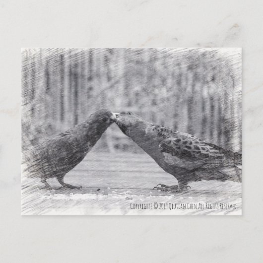 Carte Postale Baiser les oiseaux (Devant)
