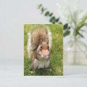 Carte Postale baiser-moi écureuil (Debout devant)