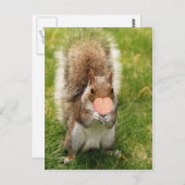 Carte Postale baiser-moi écureuil (Devant / Derrière)