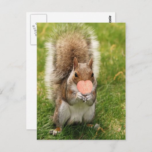 Carte Postale baiser-moi écureuil (Devant / Derrière)