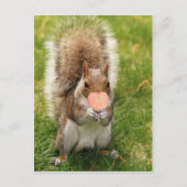 Carte Postale baiser-moi écureuil (Devant)