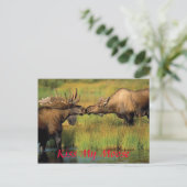 Carte Postale baiser mon orignal, baiser mon orignal (Debout devant)