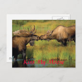 Carte Postale baiser mon orignal, baiser mon orignal (Devant / Derrière)