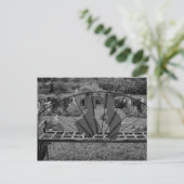 Carte Postale baiser rapidement (Debout devant)