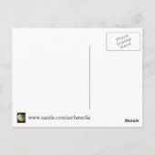 Carte Postale Baiser Sailor, Sarasota, FL (Dos)