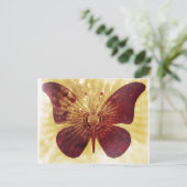 Carte postale Baisers papillon (Debout devant)