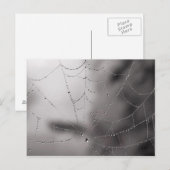 Carte Postale Baisses de Web (Devant / Derrière)