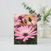 Carte Postale Baisy d'Afrique violet (Debout devant)