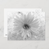 Carte Postale Baisy noir et blanc (Devant / Derrière)