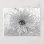 Carte Postale Baisy noir et blanc (Devant)