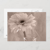 Carte Postale Baisy teinté rose (Devant / Derrière)