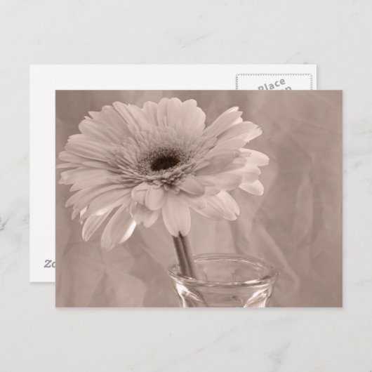 Carte Postale Baisy teinté rose (Devant / Derrière)