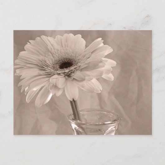 Carte Postale Baisy teinté rose (Devant)