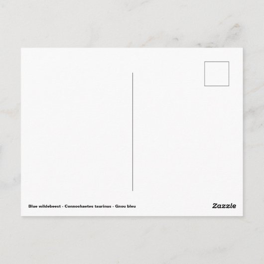 Carte Postale Balade à pied (Dos)